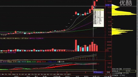 山西三维停牌最新消息深度解读，企业动态与市场反应分析