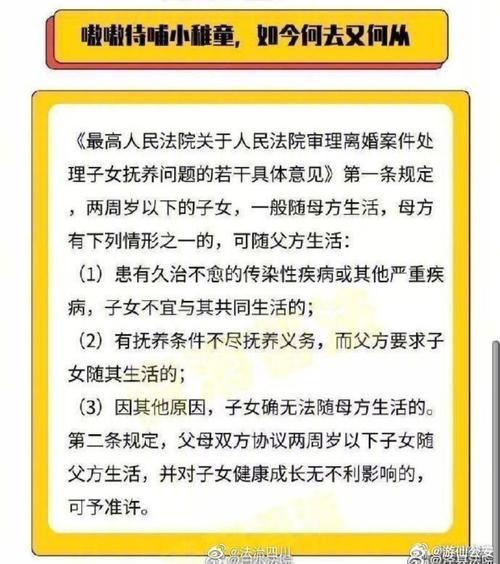 孩子抚养权归属最新法律规定解读与探索