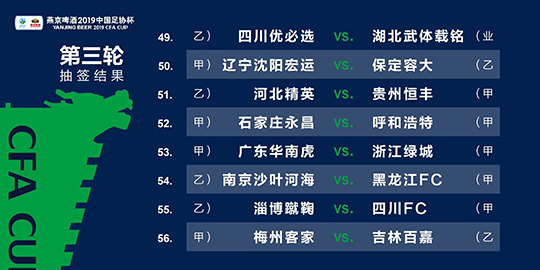 2024新澳精准资料免费,广泛的解释落实方法分析_标准版90.65.32