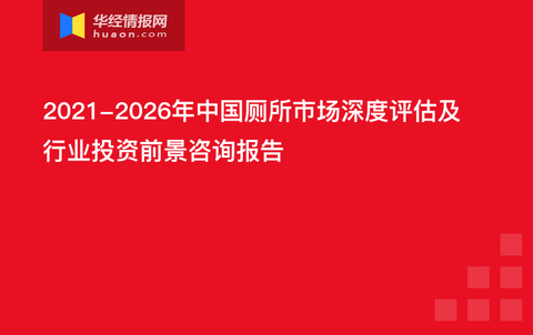 2024年香港正版资料免费大全精准,深度评估解析说明_标准版4.66