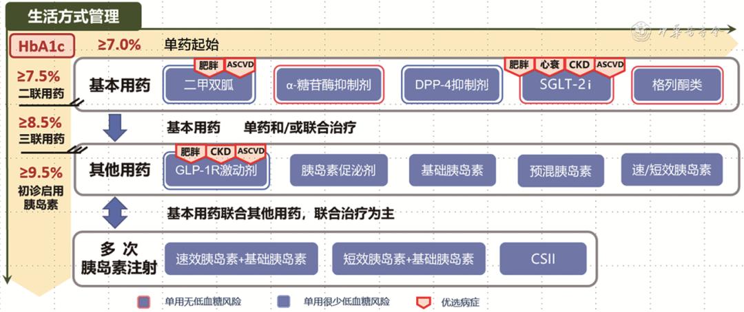 最新2022年血糖标准概览