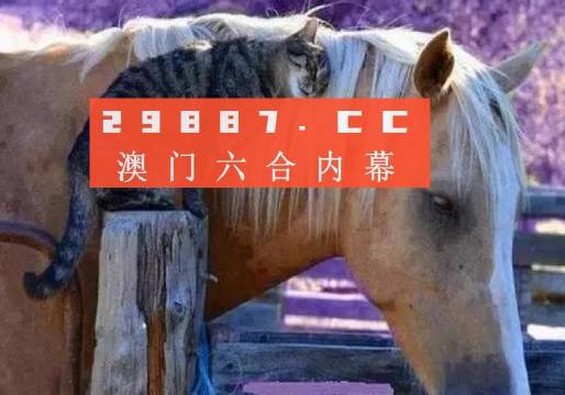 澳门一肖一码必中一肖213期,经典案例解释定义_S40.579