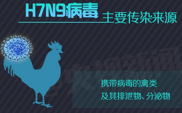 陕西H7N9最新消息更新，2017年最新动态报告