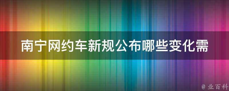 南宁市网约车最新动态，行业变革与未来发展趋势