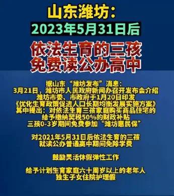 山东省三胎政策解读及其影响分析