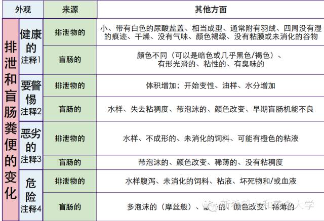 澳门正版精准免费大全,权威分析说明_精英版201.124