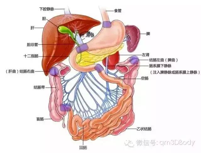 香港二四六开奖免费结果_最佳精选解剖落实_尊贵版166.92.55.151