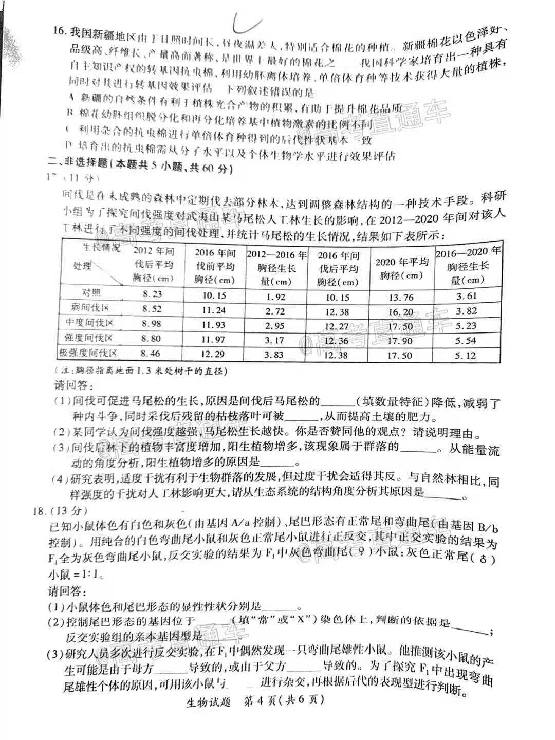 2024澳门天天开好彩大全v_最新答案解析实施_精英版74.133.175.117