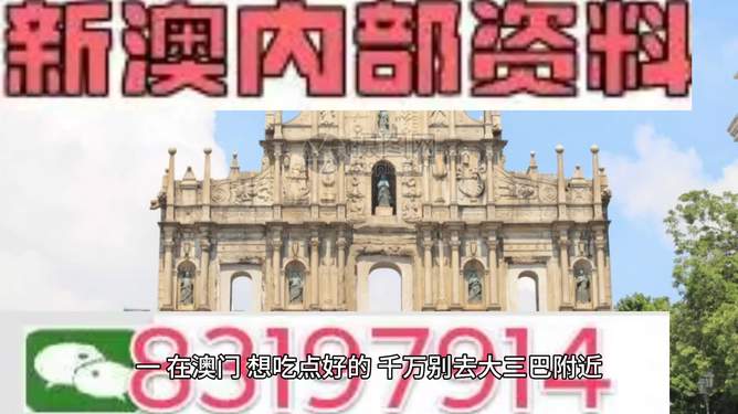 2023澳门资料大全正版资料免费_解析实施_准确资料_VS203.131.181.19