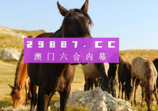 澳门管家婆-肖一码_解剖落实_最新核心_VS192.69.14.16