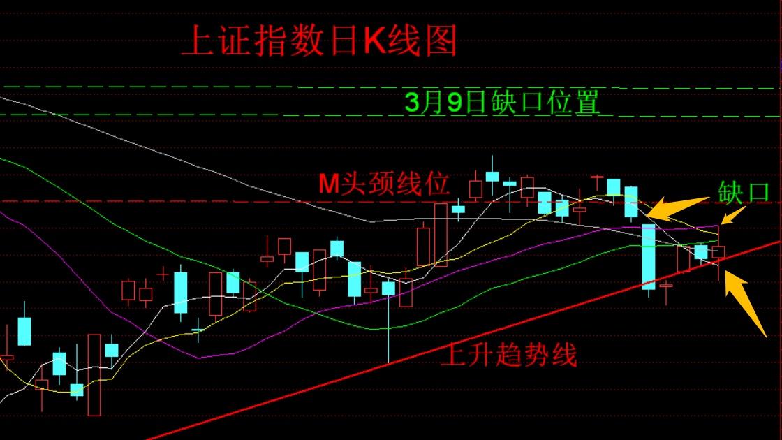 正版资料全年资料查询,循环执行落实解答解释_幻想版13.327