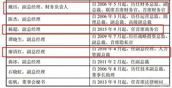 四川长虹重组获批,深入设计执行方案_ZY版2.438