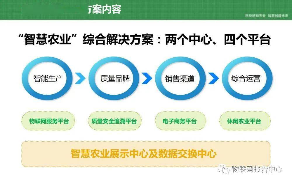 2024年11月11日 第17页