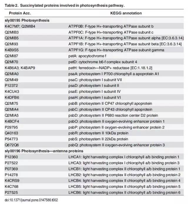 2024新澳最快最新资料,系统化评估说明_PalmOS76.972