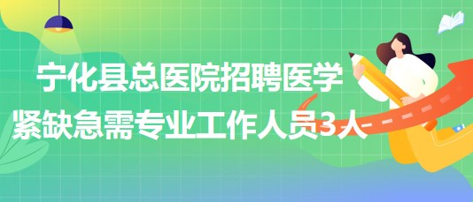 三明市人才网最新招聘动态深度解析与解读