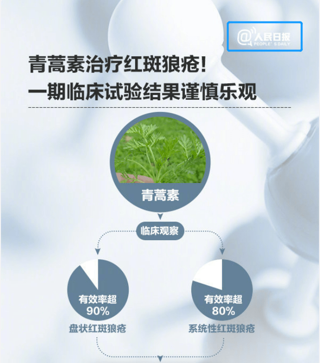 青蒿素对红斑狼疮的研究进展与应用最新动态